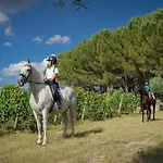 Madre De Agua Rural De Charme 4* Gouveia (Guarda)
