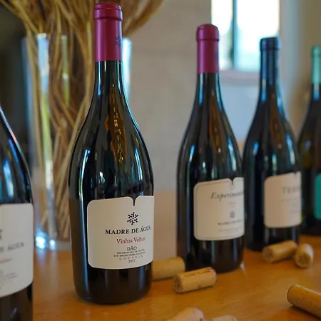 Madre De água Rural De Charme Hotel Gouveia (Guarda)