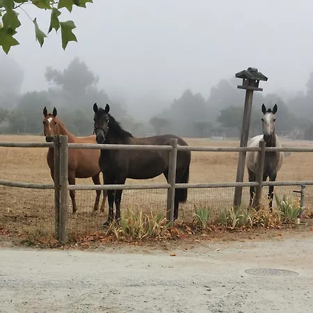 Hotel Madre De água Rural De Charme Gouveia (Guarda)