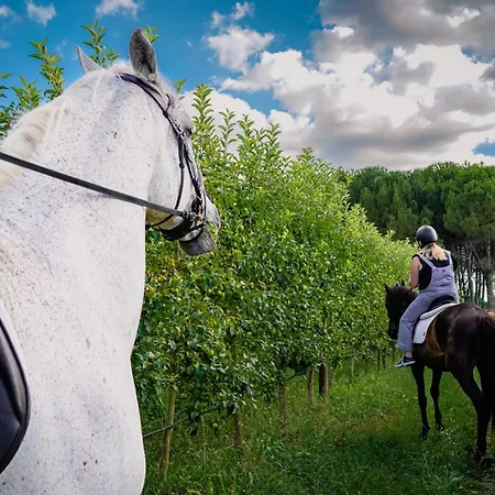Madre De Agua Rural De Charme فندق