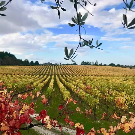 Hotel Madre De água Rural De Charme Gouveia (Guarda)