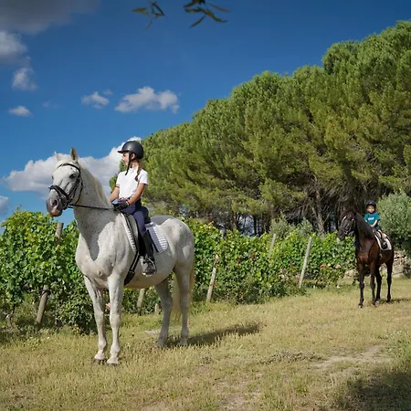 Madre De Agua Rural De Charme 4* Gouveia