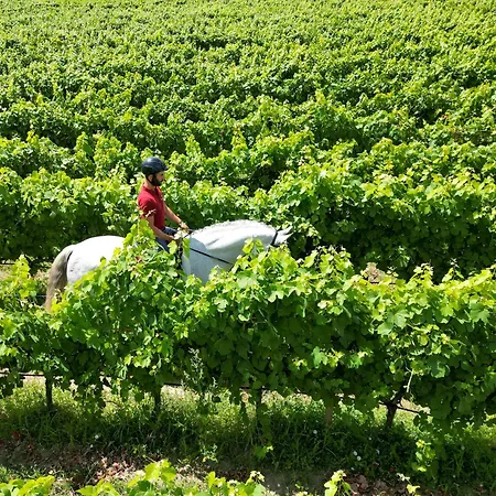 Madre De água Rural De Charme Gouveia (Guarda)
