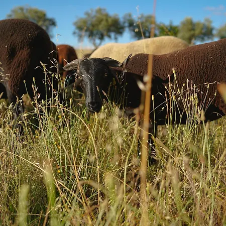 Madre De Agua Rural De Charme ゴウヴェイア