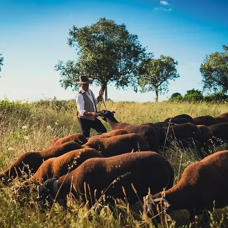 Madre De água Rural De Charme Hotel