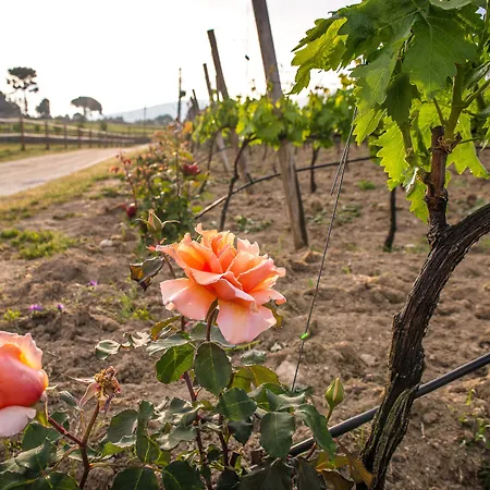 Madre De água Rural De Charme Gouveia (Guarda)