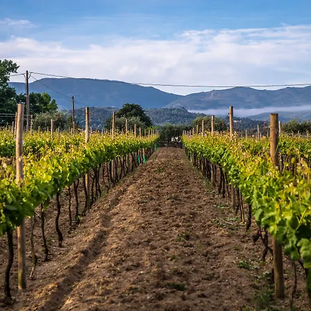 Hotel Madre De água Rural De Charme