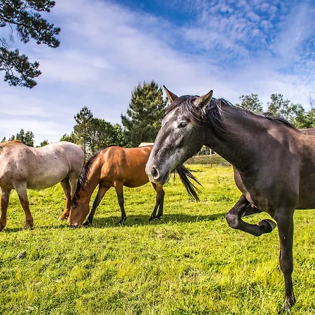 Hotel Madre De água Rural De Charme 4*