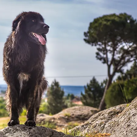 Madre De Agua Rural De Charme
