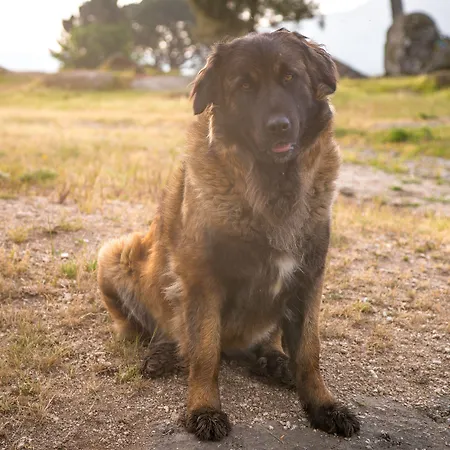 Madre De Agua Rural De Charme 4*