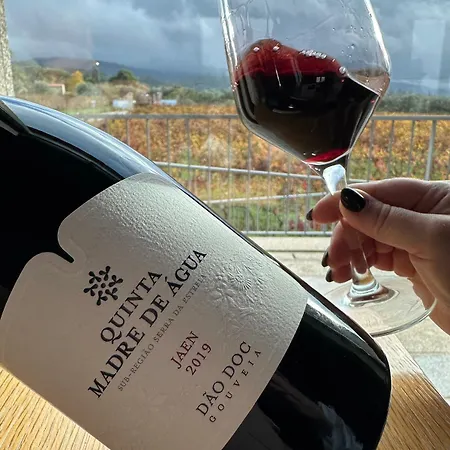 Hotel Madre De água Rural De Charme