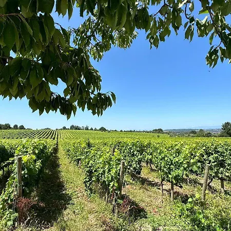 Madre De Agua Rural De Charme