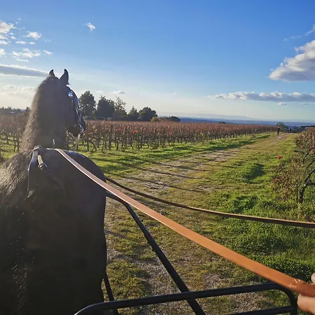 Madre De Agua Rural De Charme ゴウヴェイア