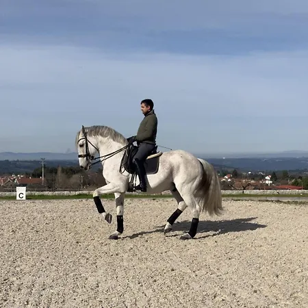 酒店 Madre De Agua Rural De Charme