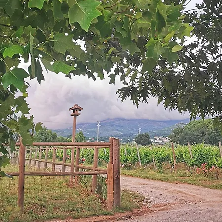 Madre De água Rural De Charme 4* Gouveia (Guarda)