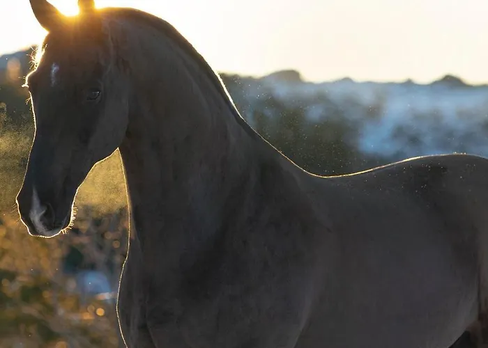Madre De Agua Rural De Charme فندق