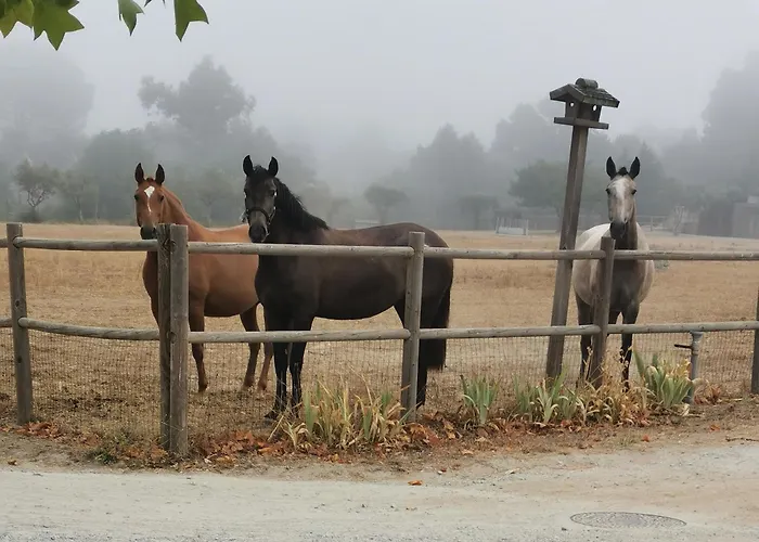 酒店 Madre De Agua Rural De Charme 戈韦阿