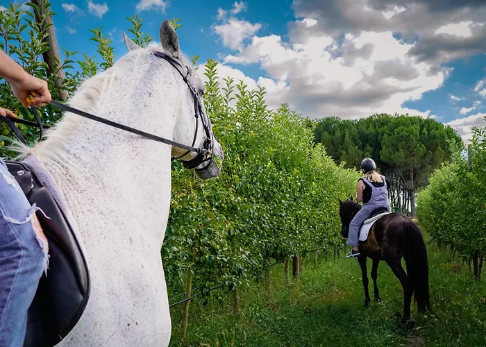 Madre De Agua Rural De Charme 酒店