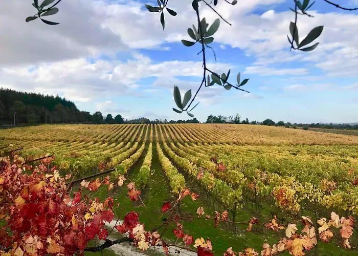 酒店 Madre De Agua Rural De Charme 戈韦阿