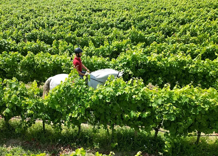 Madre De Agua Rural De Charme 戈韦阿