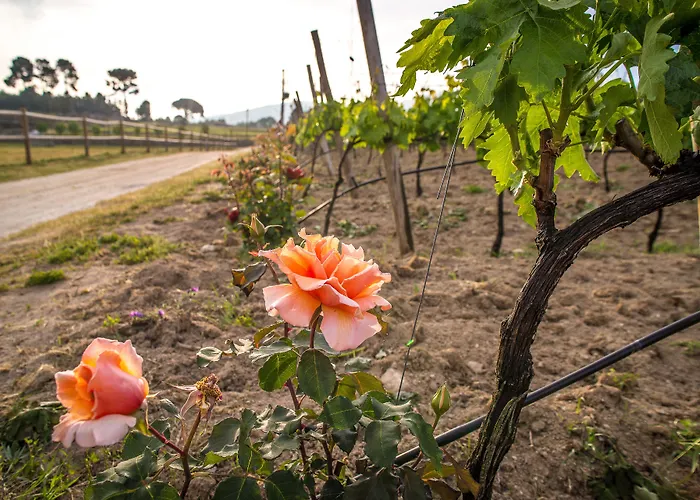 Madre De Agua Rural De Charme 戈韦阿