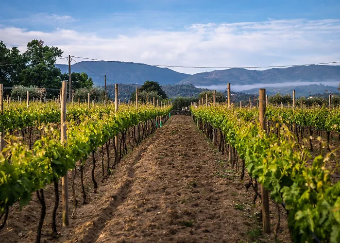 酒店 Madre De Agua Rural De Charme