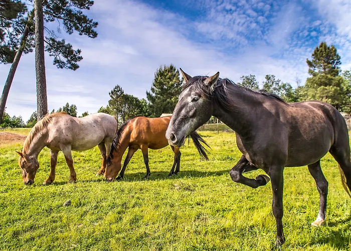 酒店 Madre De Agua Rural De Charme 4*