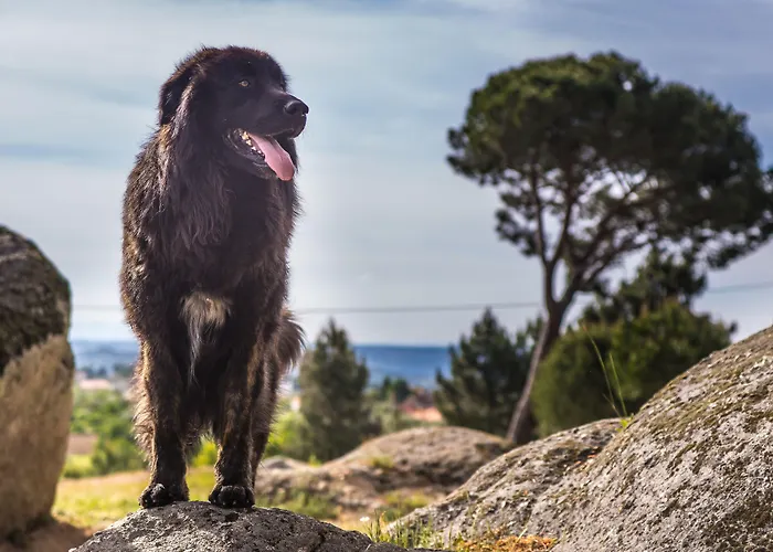 Madre De Agua Rural De Charme