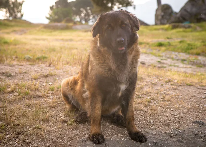 Madre De Agua Rural De Charme 4*