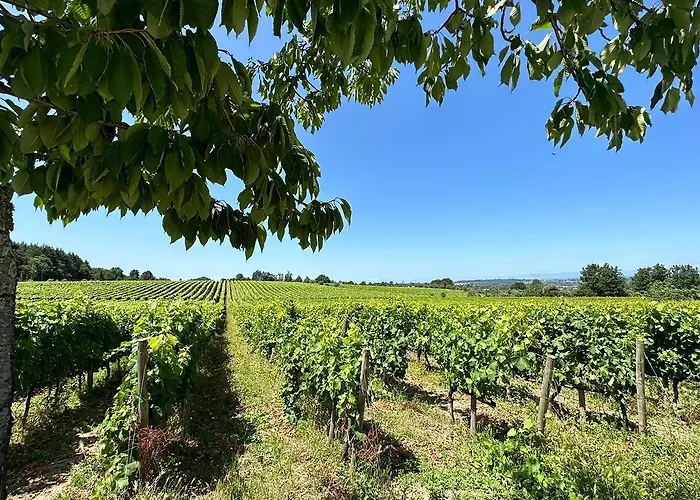 Madre De Agua Rural De Charme