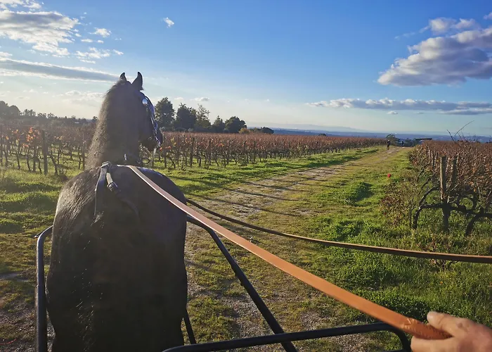 Madre De Agua Rural De Charme 戈韦阿