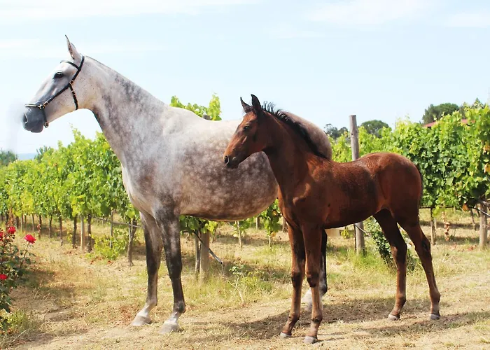 Madre De Agua Rural De Charme غويفيا